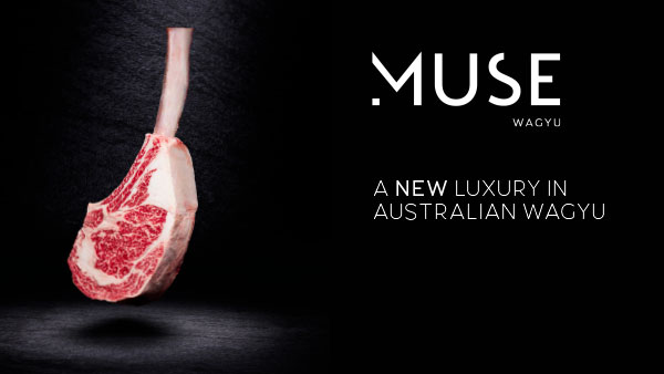 MUSE is Full Blood Australian Wagyu with 100% Japanese Shima & Tajima genetics.